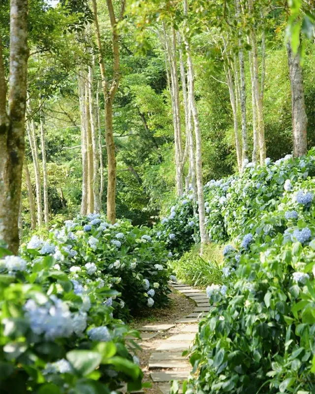 【台東景點全攻略】20個必去台東網美景點推薦！ 海線、山線外加都市景點好拍又好玩！