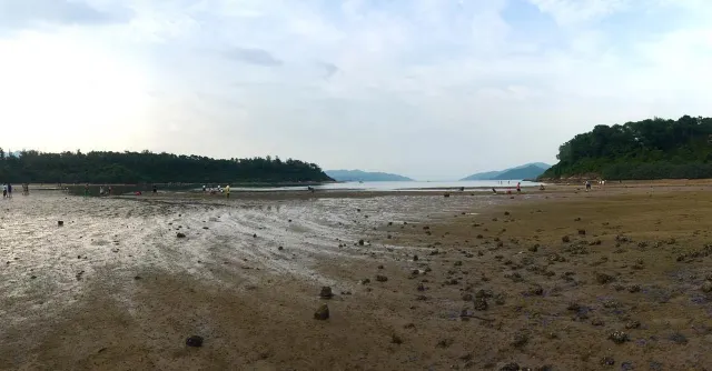 【2026摸蜆攻略】摸蜆季節、3大摸蜆地點推薦！（附摸蜆教學和工具）