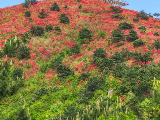 Taoyuan Peak