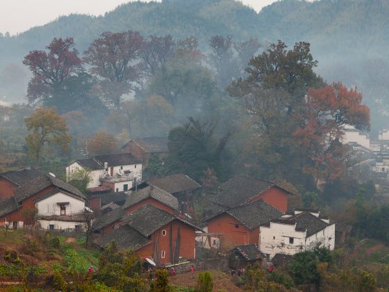 石城紅楓葉景區