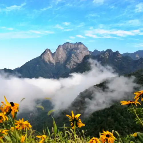 Popular Family-friendly Attractions in Anqing