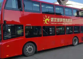 Tour Bus - Sightseeing Tour of Wuhan