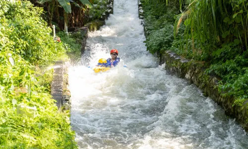 Forest Water Villace