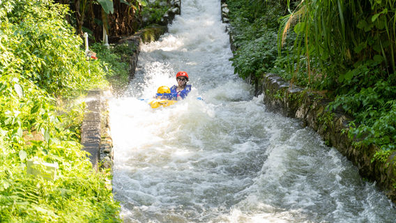 Forest Water Villace