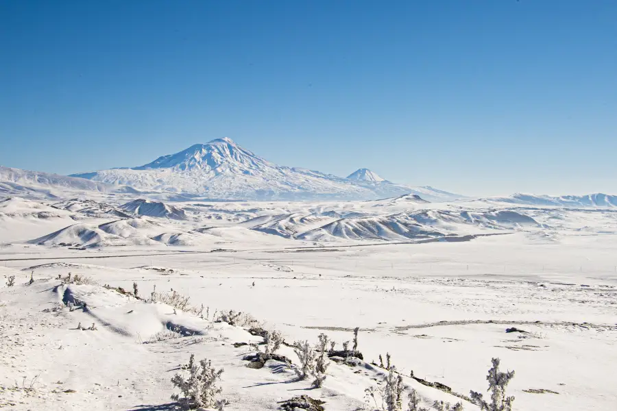 Núi Ararat