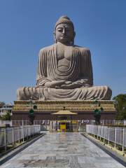 The Great Buddha Statue