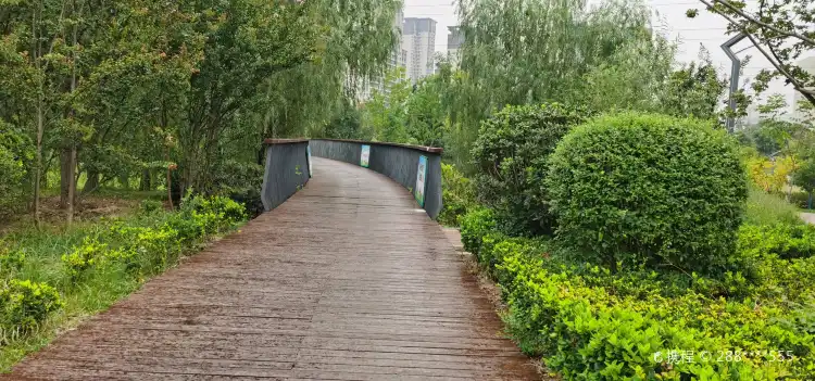 Hotels near Weiqing Park