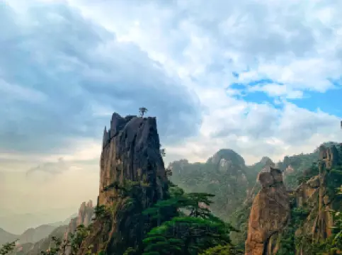 南清園風景区