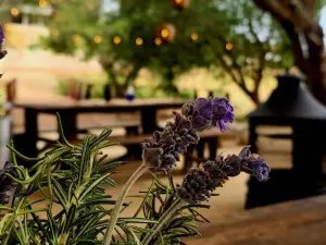 Sierra Blanca Asador Campestre