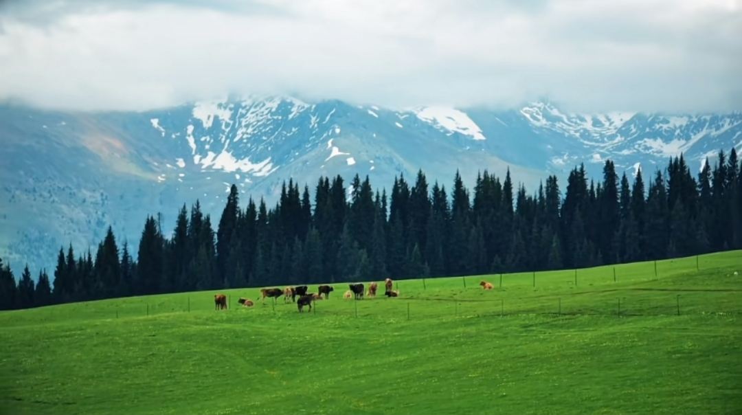 Saike Grassland