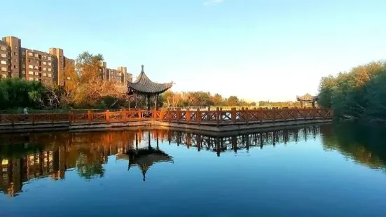 Baiyanghe Park