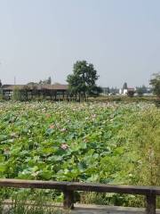 東南稻香村鐵塔濕地公園