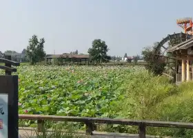 東南稻香村鐵塔濕地公園