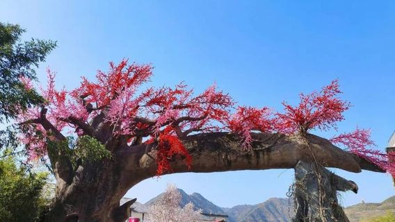 Zhulinguan Taohuagu Sceneic Area