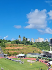 Estádio Roberto Santos (Pituaçu)