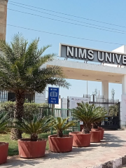 NIMS University