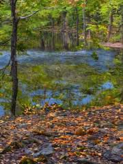 Davidson Nature Preserve