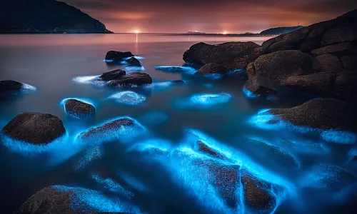 Blue Tears Viewing in Pingtan