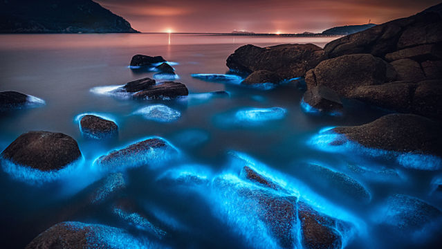 Blue Tears Viewing in Pingtan