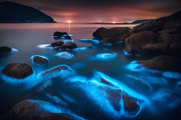 Blue Tears Viewing in Pingtan