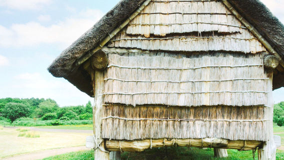 San'nai-Maruyama iseki Special Historical Site