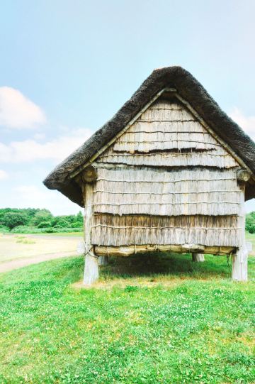Sannai Maruyama Site