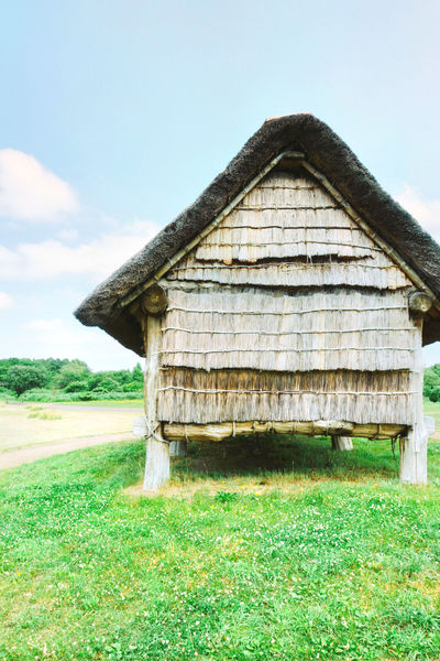 Sannai Maruyama Site
