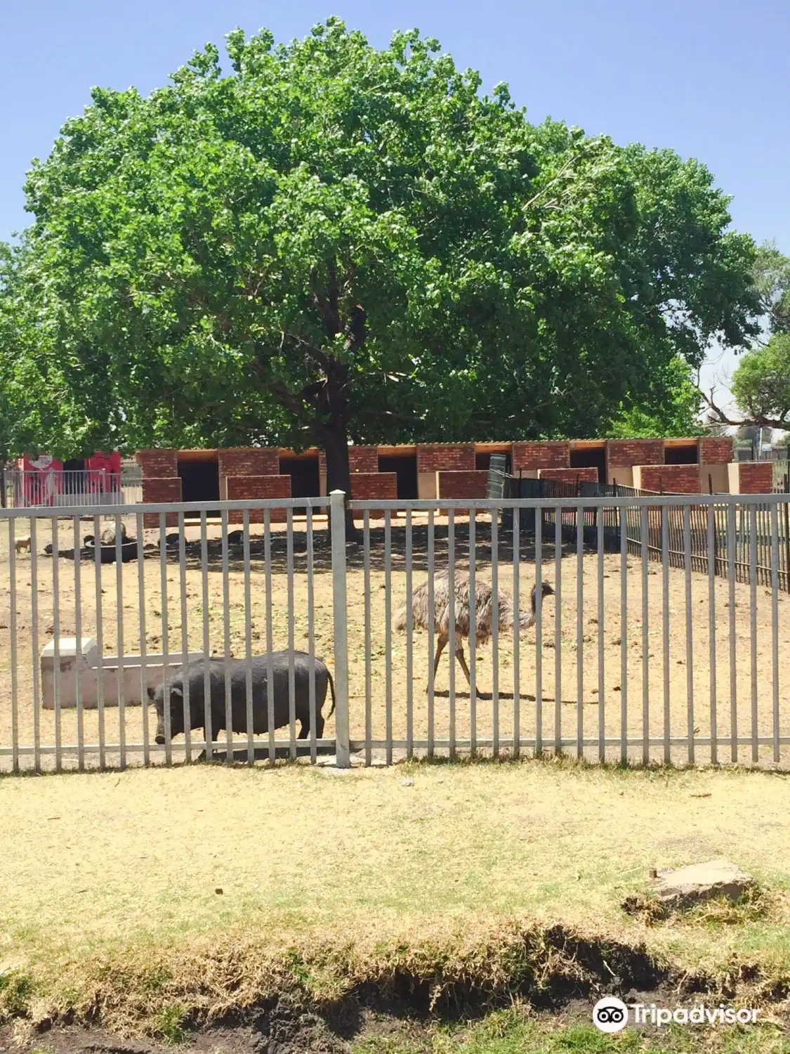 Bokkie Park附近的飯店