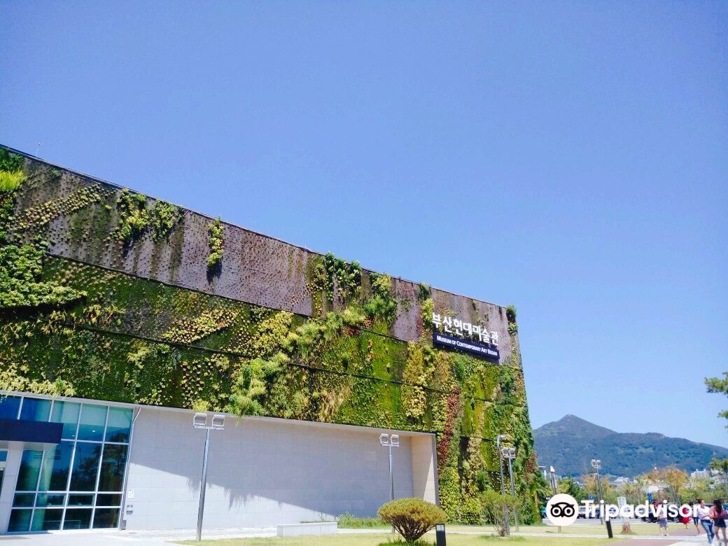 부산현대미술관 티켓 할인, 운영 시간, 후기 [2025년] | Trip.com