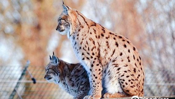 Bio-Topia Fort-Mardyck - Dunkerque