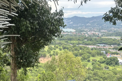 The Cocoon RESTAURANT & BAR