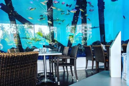 Dundees at the Cairns Aquarium