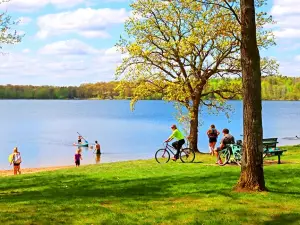 Whipple Beach