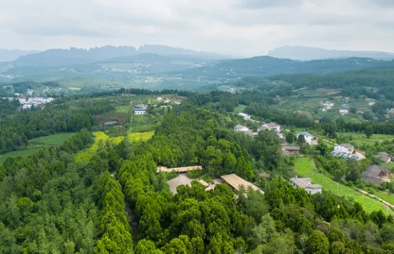 劍門關門票＋翠雲廊門票成人