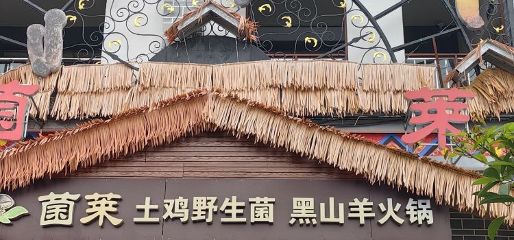 菌莱·土鸡野生菌黑山羊火锅