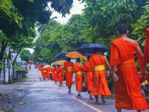 Alms Giving Ceremony in Luang Prabang