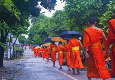 Alms Giving Ceremony in Luang Prabang