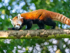 Rotterdam Zoo