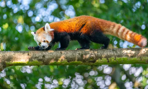 Rotterdam Zoo