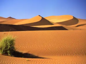 Namib Desert