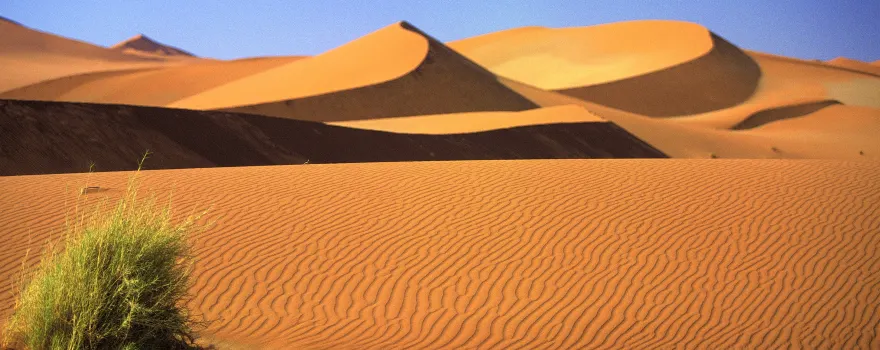 Namib Desert