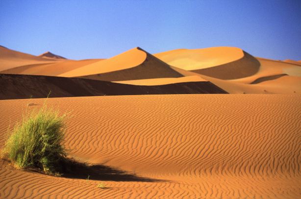 Namib Desert