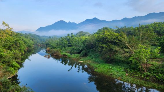 Shiwan Great Mountain National Forest Park