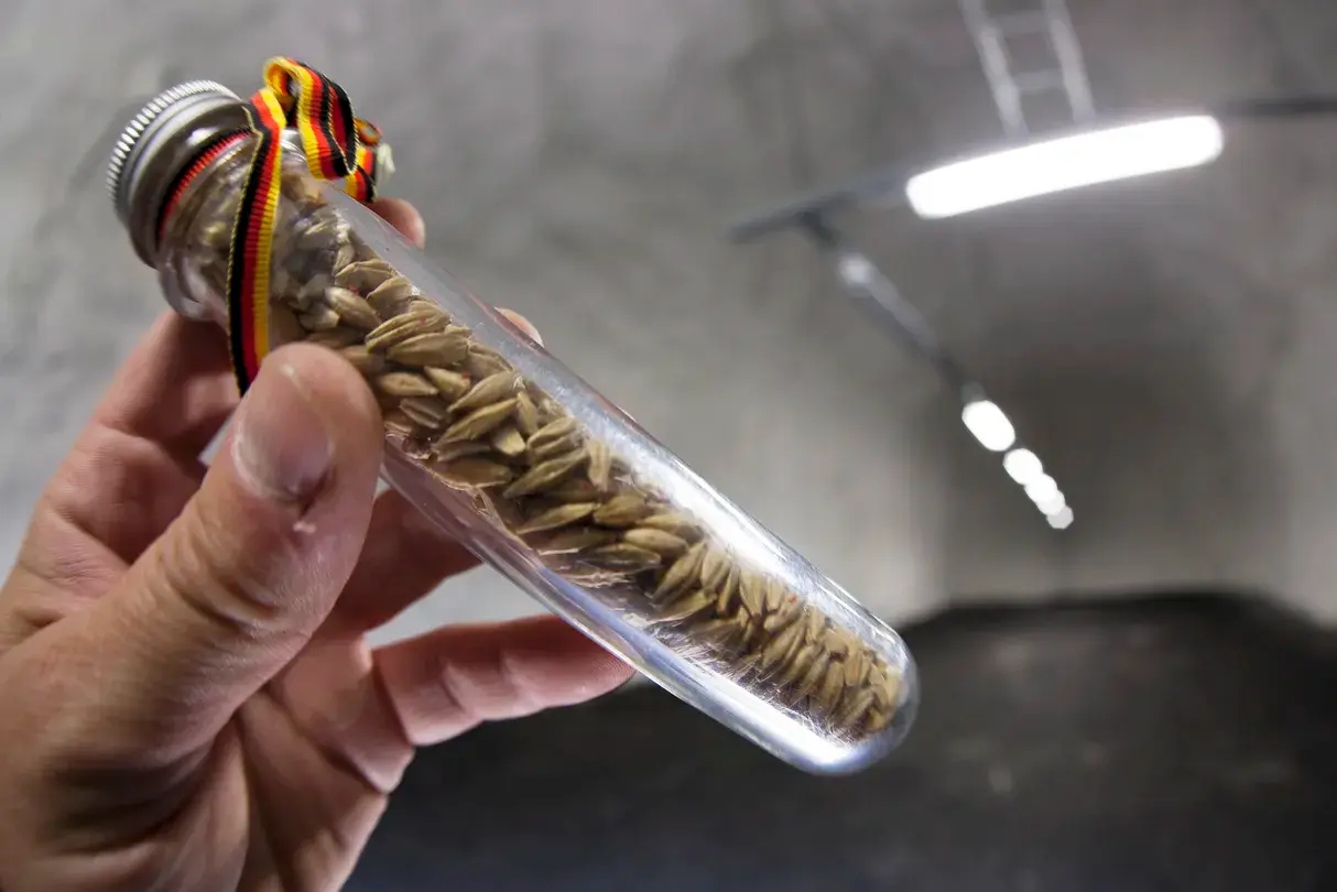 4_อุโมงค์เมล็ดพันธุ์พืชแห่งสฟาลบาร์