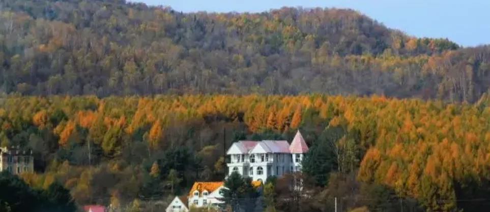 Fall Viewing Attractions