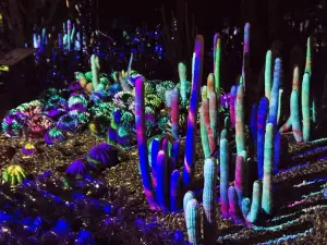 피닉스의 인기 야경 필수 코스