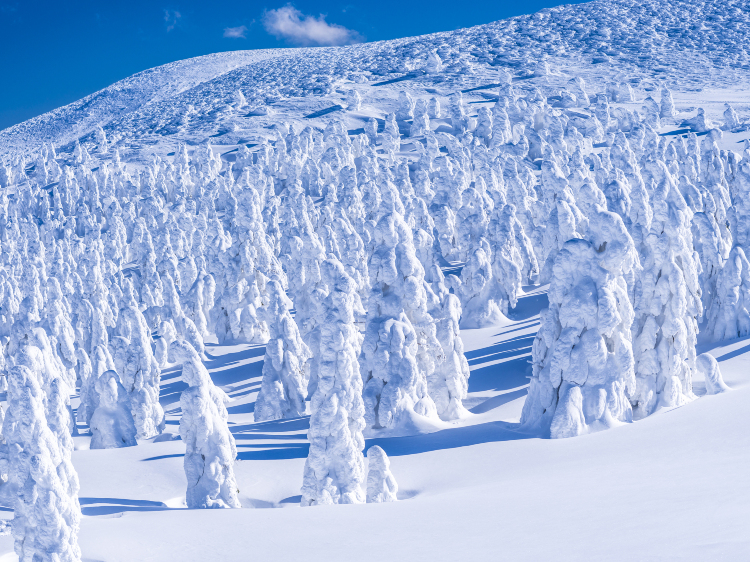 ing mountains 雪山 Yamagata Zao Ice Trees Travel Guide | Trip.com Zao