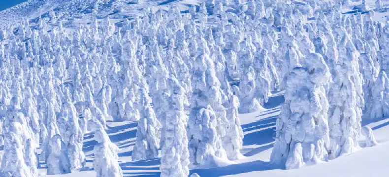 蔵王町のホテル