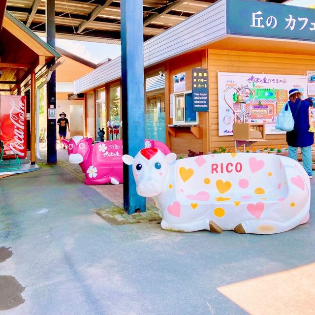 ぜるぶの丘