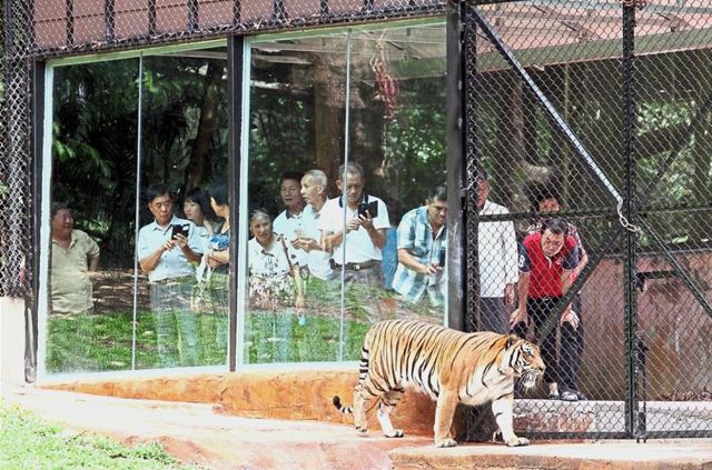 Zoo Taiping & Night Safari